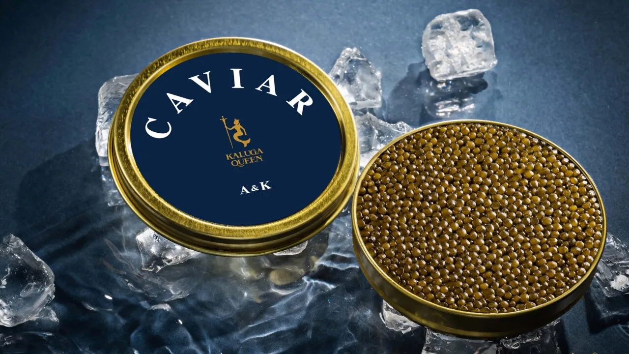 KALUGA QUEENキャビア コラボイベント