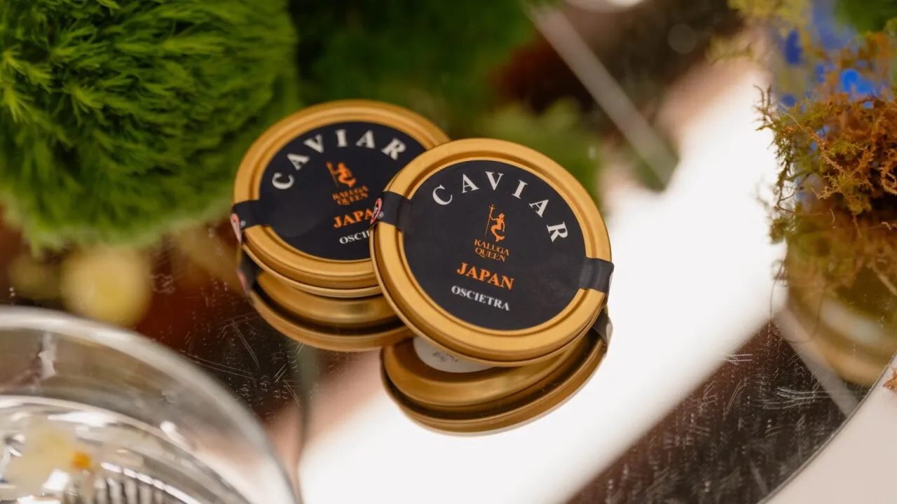 KALUGA QUEENキャビア コラボイベント