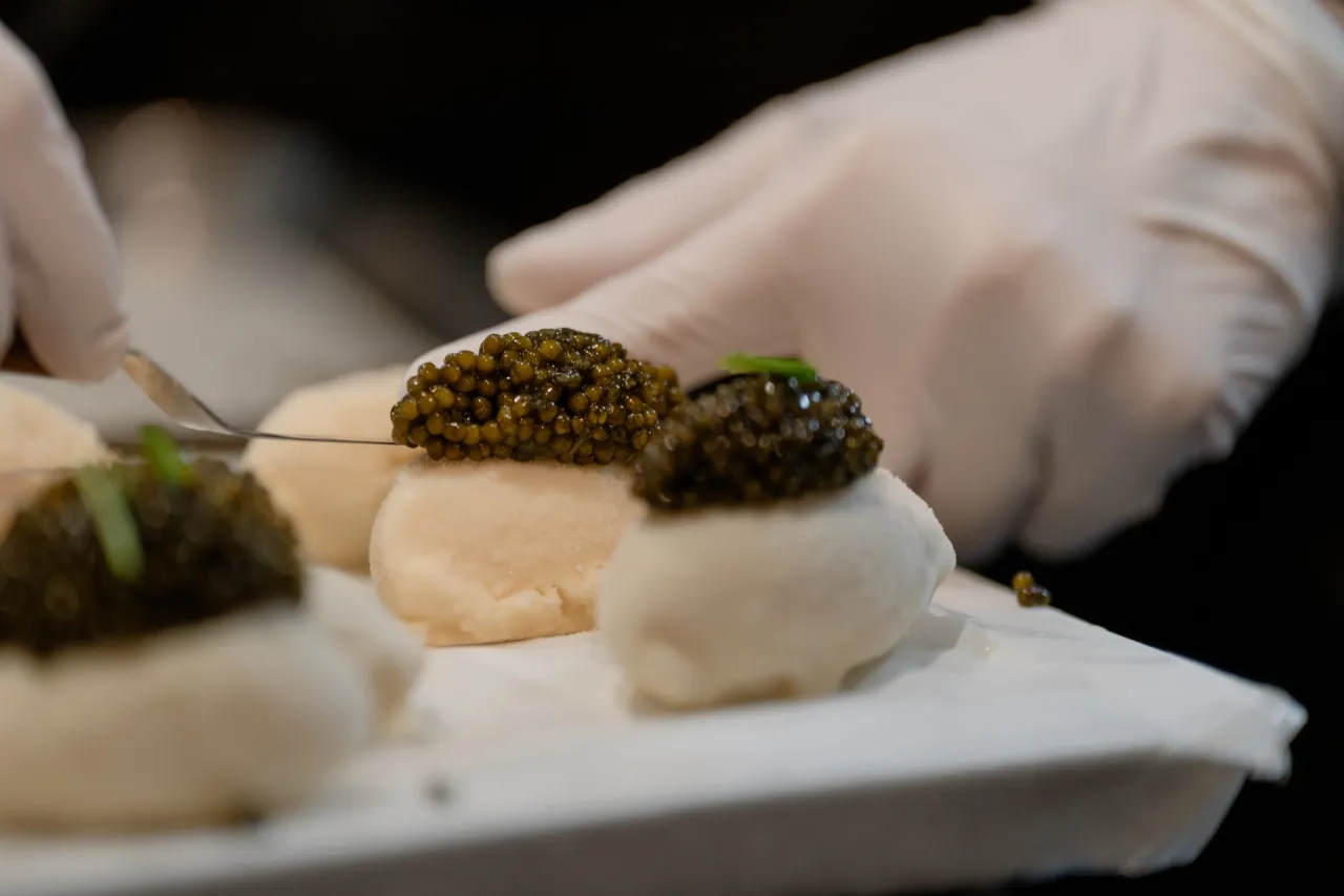 KALUGA QUEENキャビア１４