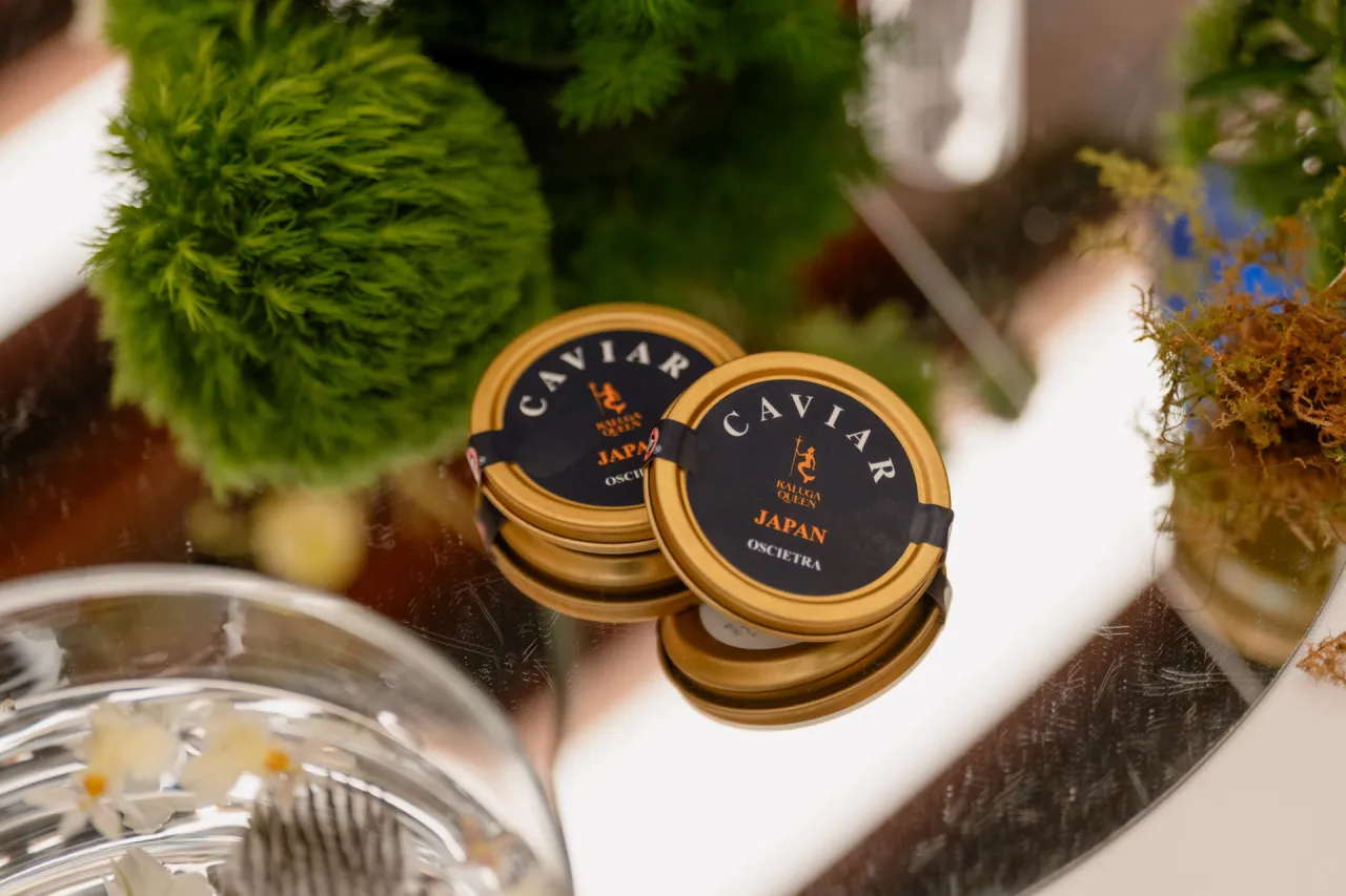 KALUGA QUEENキャビア１９