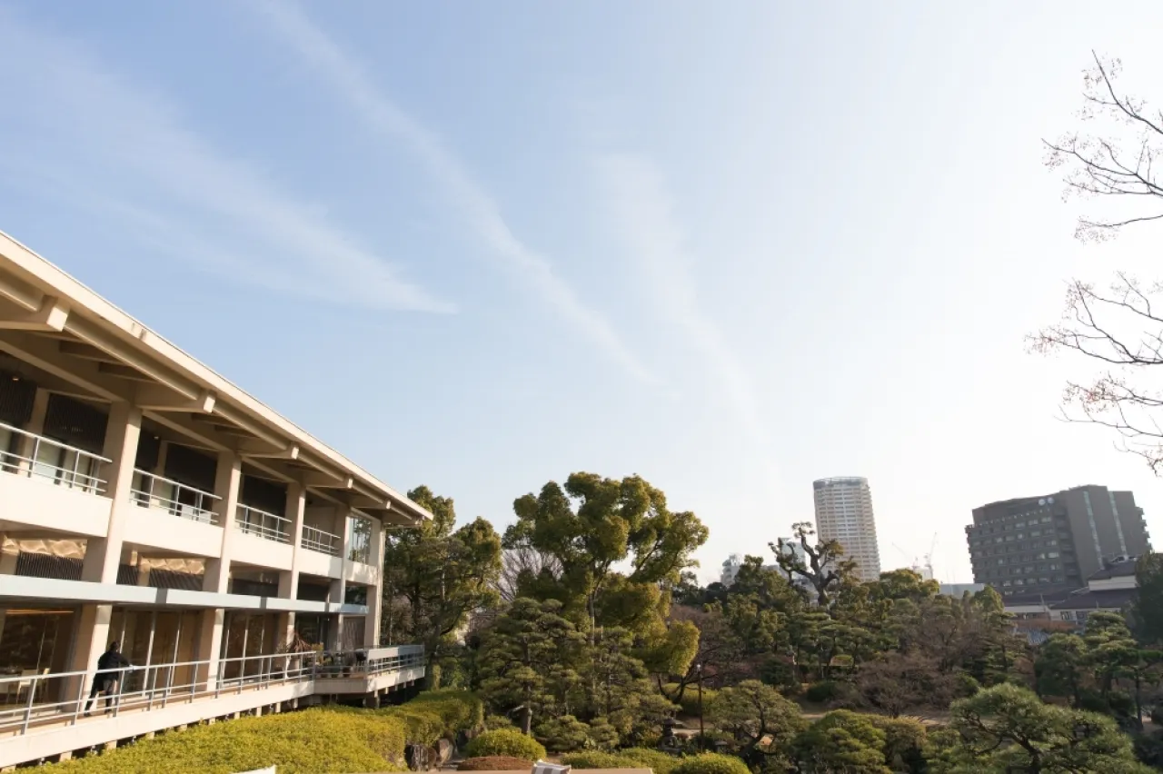 冬は空気が澄んで空もお庭の緑もとっても素敵です。