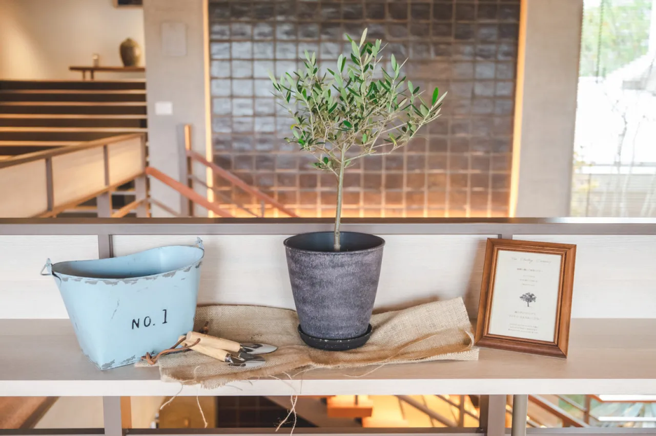 「世界一素敵な一日を☆」の写真