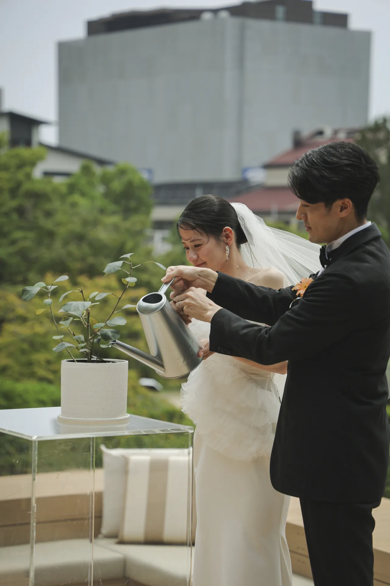 植樹セレモニー